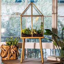 Load image into Gallery viewer, Urban Born Oversize Terrarium Glass+Steel, 11x11x28" (Brass)