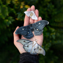 Load image into Gallery viewer, 'Midnight Ghost' Moth Set