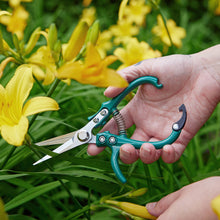 Load image into Gallery viewer, New Colors! Garden Shears : Ocean