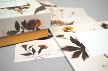 Load image into Gallery viewer, Emily Dickinson Notecards