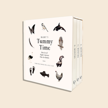 Load image into Gallery viewer, Baby's Tummy Time Book Box Set