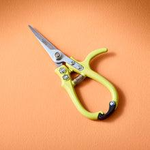 Load image into Gallery viewer, New Colors! Garden Shears : Chartreuse
