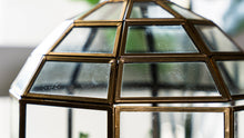 Load image into Gallery viewer, Urban Born Large Terrarium Birdcage, Glass and Metal, 10x9": Brass