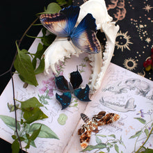 Load image into Gallery viewer, Halloween 'Hatchet' Paper Butterfly Set