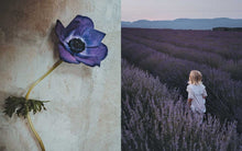 Load image into Gallery viewer, Flowers of Provence by Jamie Beck: Hardcover; 304 pages / English