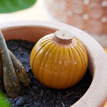 Load image into Gallery viewer, Terracotta Watering Bulb: Sage