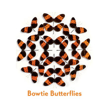 Load image into Gallery viewer, Christopher Marley’s Incredible Insects Memory Game