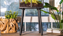 Load image into Gallery viewer, Urban Born Oversize Terrarium Glass+Steel, 11x11x28" (Black)