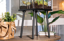 Load image into Gallery viewer, Urban Born Oversize Terrarium Glass+Steel, 11x11x28" (Black)