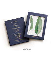 Load image into Gallery viewer, Thank You Leaves Greeting Card (Boxed Set of 6): 4.25 X 5.5 INCHES