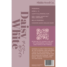 Load image into Gallery viewer, Shido Seeds: Daisy White Flower Seeds Packet - Plant Seeds, Plant Themed Gifts, Art Floral