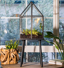 Load image into Gallery viewer, Urban Born Oversize Terrarium Glass+Steel, 11x11x28" (Black)