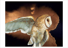 Load image into Gallery viewer, Barn Owls by Jeannine Chappell Boxed Notecard Assortment