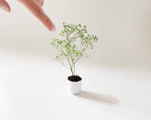 Load image into Gallery viewer, Miniature Potted Plant: Terra Cotta