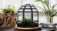Load image into Gallery viewer, Urban Born Large Terrarium Birdcage, Glass and Metal, 10x9": Brass