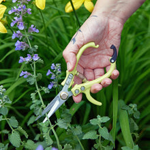 Load image into Gallery viewer, New Colors! Garden Shears : Chartreuse