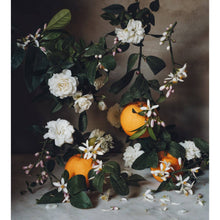 Load image into Gallery viewer, French Citrus Scented Candle • Jardin de l'Orangerie