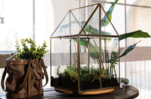 Load image into Gallery viewer, Urban Born Oversize Terrarium Glass+Steel, 11x11x28" (Brass)