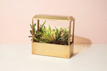 Load image into Gallery viewer, Smart Growhouse - Brass