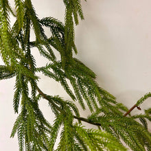 Load image into Gallery viewer, 58” Natural Touch Norfolk Pine Garland