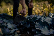 Load image into Gallery viewer, Triangle Hoe: Walnut/Black