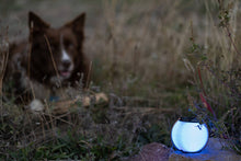 Load image into Gallery viewer, Globe Lantern