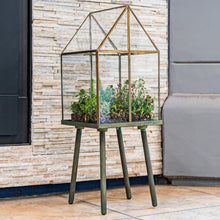 Load image into Gallery viewer, Urban Born Oversize Terrarium Glass+Steel, 11x11x28" (Green)