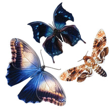 Load image into Gallery viewer, Halloween 'Hatchet' Paper Butterfly Set