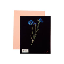 Load image into Gallery viewer, Paper Flowers Cards and Envelopes