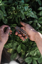 Load image into Gallery viewer, Herb Harvest + Strip Tool: Tumbled Black