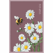 Load image into Gallery viewer, Shido Seeds: Daisy White Flower Seeds Packet - Plant Seeds, Plant Themed Gifts, Art Floral