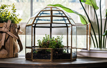 Load image into Gallery viewer, Urban Born Large Terrarium Birdcage, Glass and Metal, 10x9": Brass