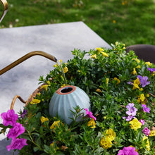 Load image into Gallery viewer, Terracotta Watering Bulb: Sage