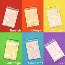 Load image into Gallery viewer, Assorted Farmer Kerri's Veggie Paint Sets