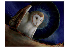 Load image into Gallery viewer, Barn Owls by Jeannine Chappell Boxed Notecard Assortment