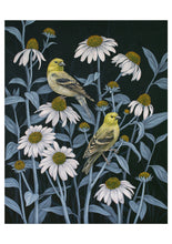 Load image into Gallery viewer, Vasilisa Romanenko: Birds of a Feather Boxed Notecard Assortment