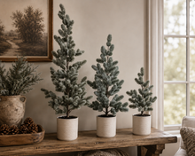 Load image into Gallery viewer, Real Touch Wild Spruce Potted Tree 48''