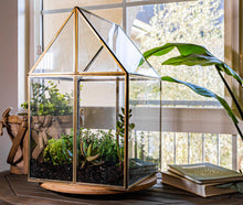 Load image into Gallery viewer, Urban Born Oversize Terrarium Glass+Steel, 11x11x28" (Brass)