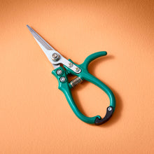 Load image into Gallery viewer, New Colors! Garden Shears : Ocean