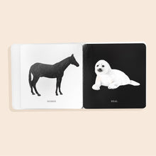 Load image into Gallery viewer, Baby's Tummy Time Book Box Set