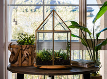 Load image into Gallery viewer, Urban Born Oversize Terrarium Glass+Steel, 11x11x28" (Brass)