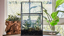 Load image into Gallery viewer, Urban Born Oversize Terrarium Glass+Steel, 11x11x28" (Black)