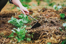 Load image into Gallery viewer, Triangle Hoe: Walnut/Black