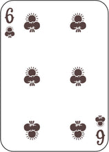 Load image into Gallery viewer, Great Outdoors Playing Cards