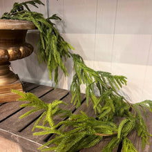 Load image into Gallery viewer, 58” Natural Touch Norfolk Pine Garland