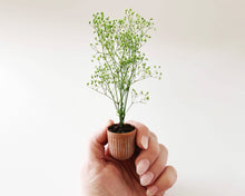 Load image into Gallery viewer, Miniature Potted Plant: Terra Cotta