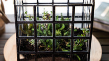 Load image into Gallery viewer, Urban Born Lattice House Terrarium, Glass+Steel, 8"x8"x12"