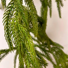 Load image into Gallery viewer, 58” Natural Touch Norfolk Pine Garland
