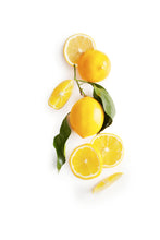 Load image into Gallery viewer, Shortbread Cookies - Meyer Lemon Shortbread
