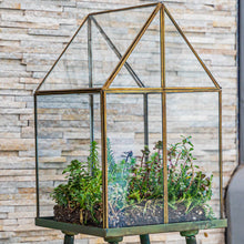 Load image into Gallery viewer, Urban Born Oversize Terrarium Glass+Steel, 11x11x28" (Green)